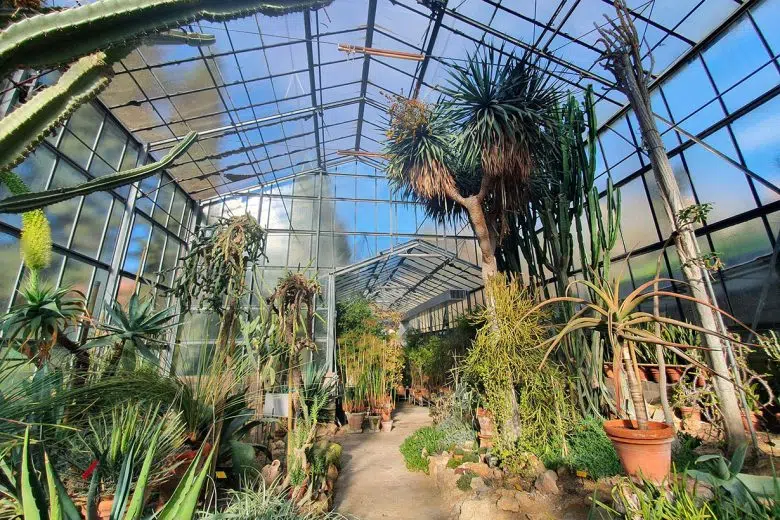 Tepidarium dell’Orto Botanico dell’Università di Siena