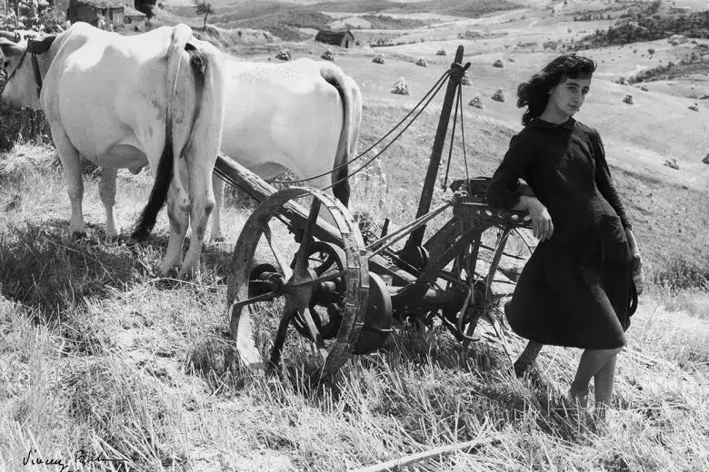 Archivi Alinari, Colli Senesi, donna con aratro