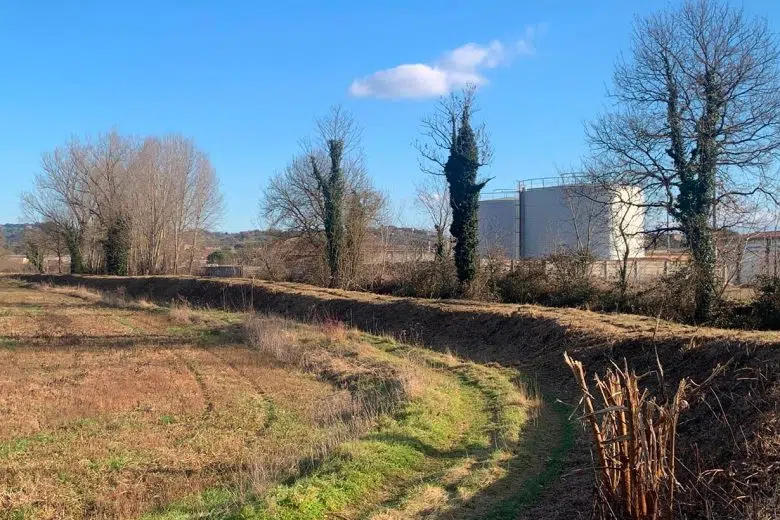 Intensificati in provincia di Siena i lavori del Consorzio di Bonifica Consorzio di Bonifica, lavori torrente Rigo 3 in provincia di Siena