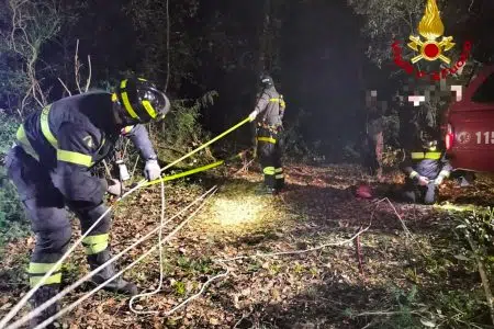 Cane cade in una cava: salvato dai Vigili del fuoco Vigili del fuoco, recupero cane ad Asciano
