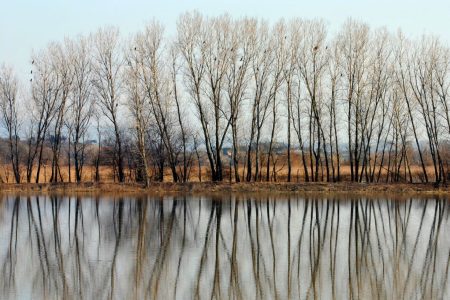 Riserva naturale del lago di Montepulciano: intervento di piantumazione Lago di Montepulciano