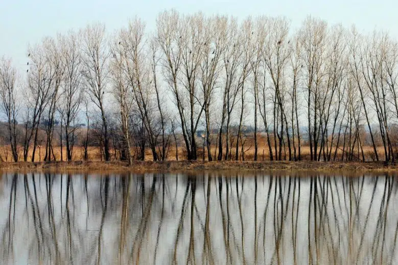 Montepulciano: risorse regionali per la tutela e il miglioramento della Riserva Naturale del Lago Lago di Montepulciano