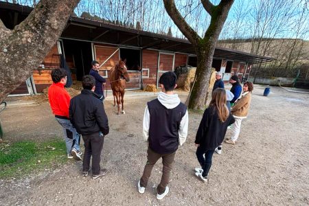 “Il rapporto uomo cavallo volano per le nuove professioni”, il Comune di Siena mette a disposizione Pian delle Fornaci Rapporto uomo cavallo a Pian delle Fornaci, studenti, cavallo