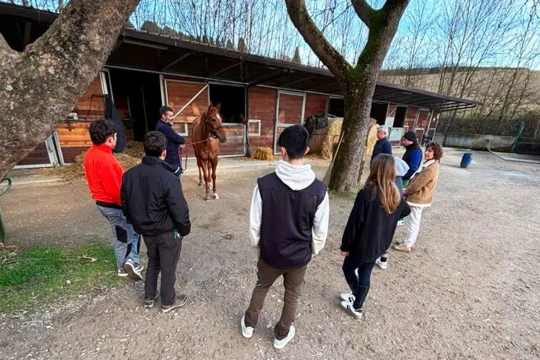 Rapporto uomo cavallo a Pian delle Fornaci, studenti, cavallo