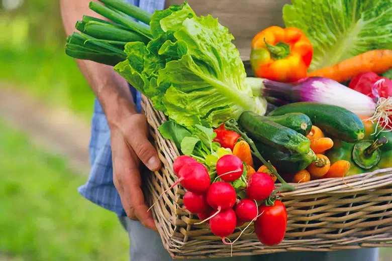 “Oggi parliamo di…” a Quercegrossa incontro sui prodotti a Km0 Prodotti agroalimentari a km 0, contadino con cesto di verdure