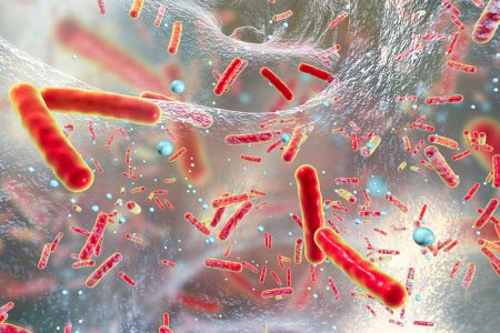 Caso di tubercolosi ad un lavoratore presso il “Sarrocchi” di Siena Tubercolosi, bacilli al microscopio