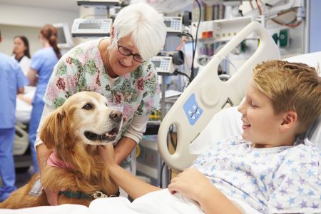 Cane con bambino in ospedale