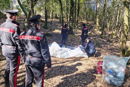 Smantellato bivacco di spacciatori nel bosco a Monticiano Carabinieri, bivacco spacciatori Monticiano