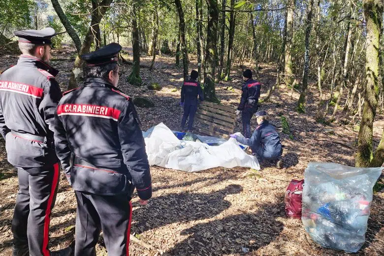 Smantellato bivacco di spacciatori nel bosco a Monticiano Carabinieri, bivacco spacciatori Monticiano