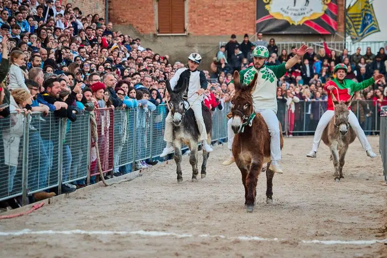 Palio dei Somari di Torrita di Siena, arrivo