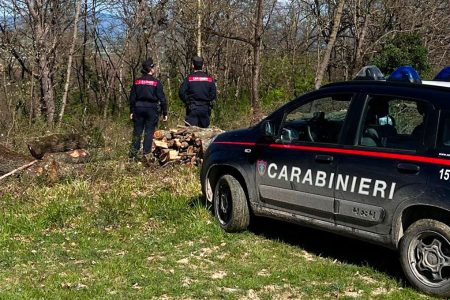 Spaccio nei boschi: Carabinieri smantellano bivacco a Castelnuovo Carabinieri Forestali, auto, bosco