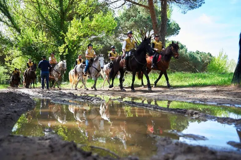 Equiraduno del Giubileo, Siena ospita una tappa del cammino verso Roma Equiraduno del Giubileo