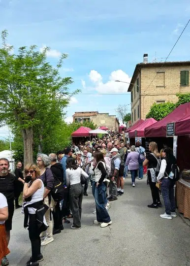 Festa del Carciofo di Chiusure 2025