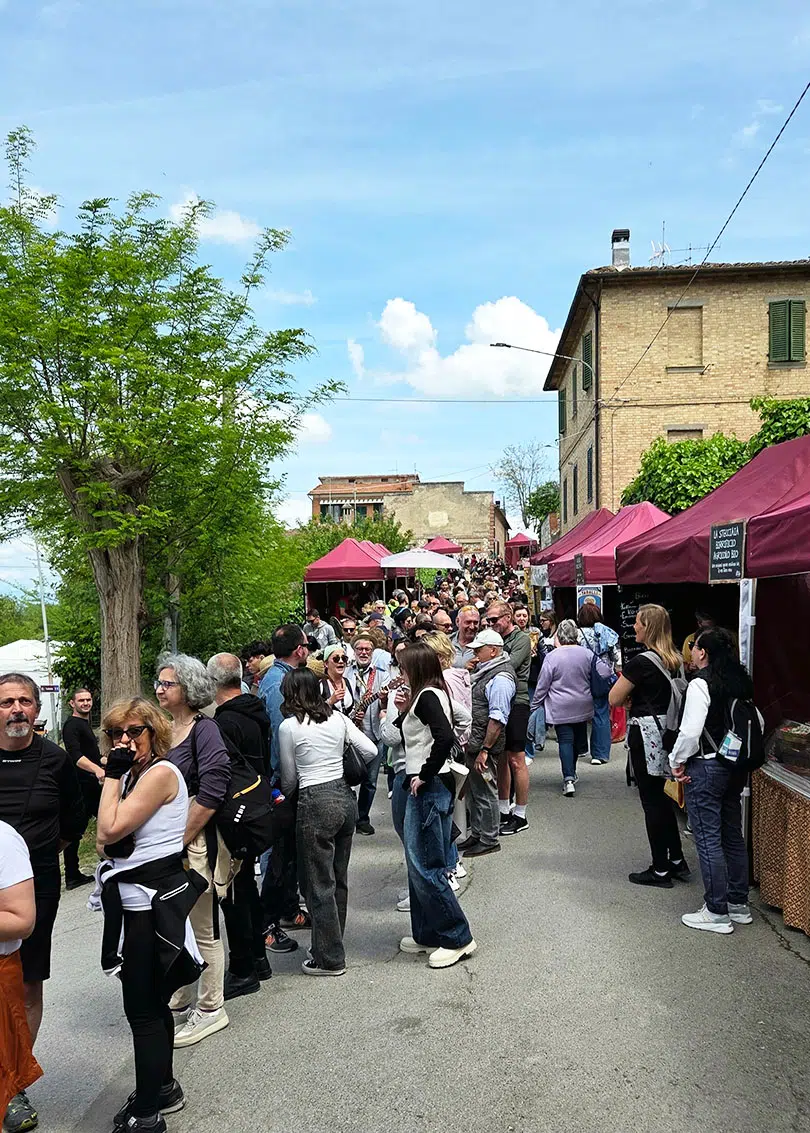 Festa del Carciofo di Chiusure 2025