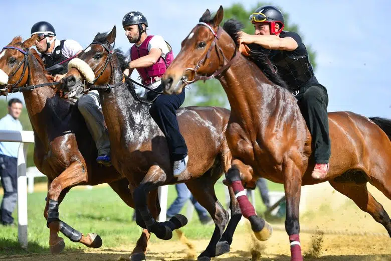 Siena, calendario piste: via agli allenamenti dei cavalli del Protocollo Equino Lavori addestramento cavalli da Palio a Mociano