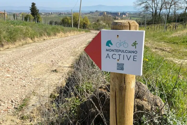 Montepulciano Active