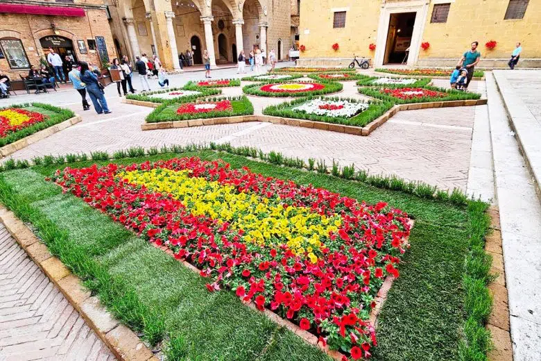 "Pienza e i fiori", piazza Pio II