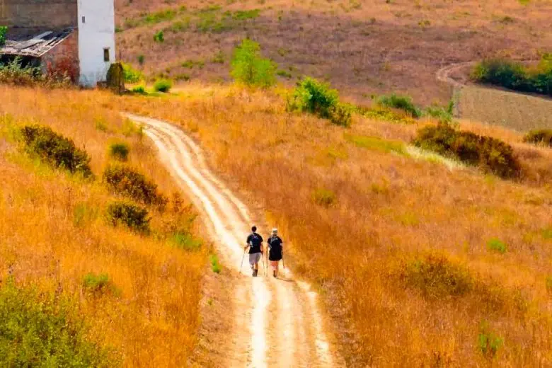 “Pellegrino per un giorno”, lungo la Via Francigena da Monteriggioni a Siena Via Francigena a Siena