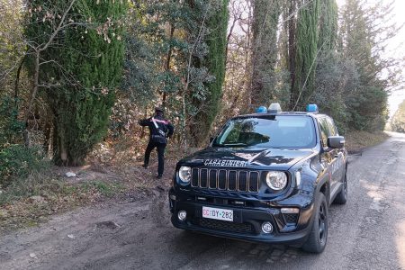 Carabinieri, auto, bivacchi