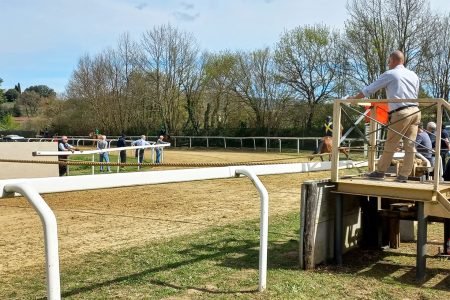 Protocollo Equino, annullato l’appuntamento del 10 maggio a Monticiano Corse di addestramento Protocollo Equino a Monticiano