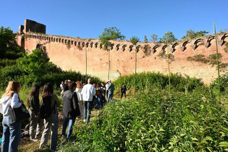 “EcoSistema urbano”, al festival della biodiversità Siena celebra la natura in città Ecosistema urbano Siena
