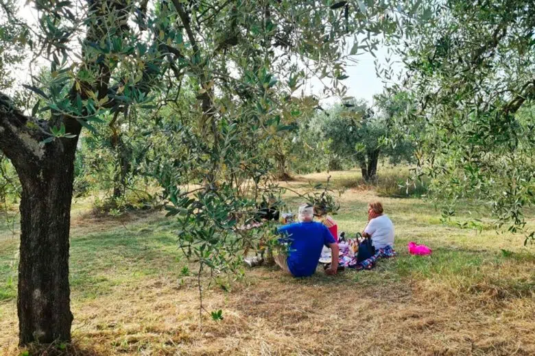 Merenda nell'oliveta, Montepulciano