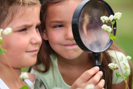 San Gimignano, contributi alle famiglie per i centri estivi Centri estivi, bambini