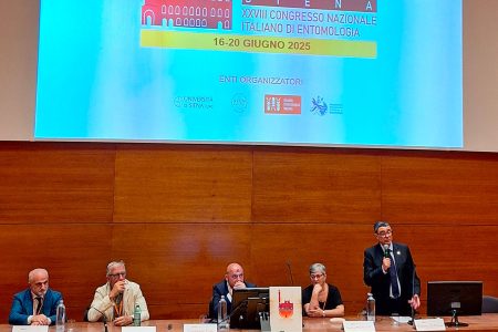 A Siena il XXVIII Congresso Nazionale di Entomologia Congresso entomologia di Siena