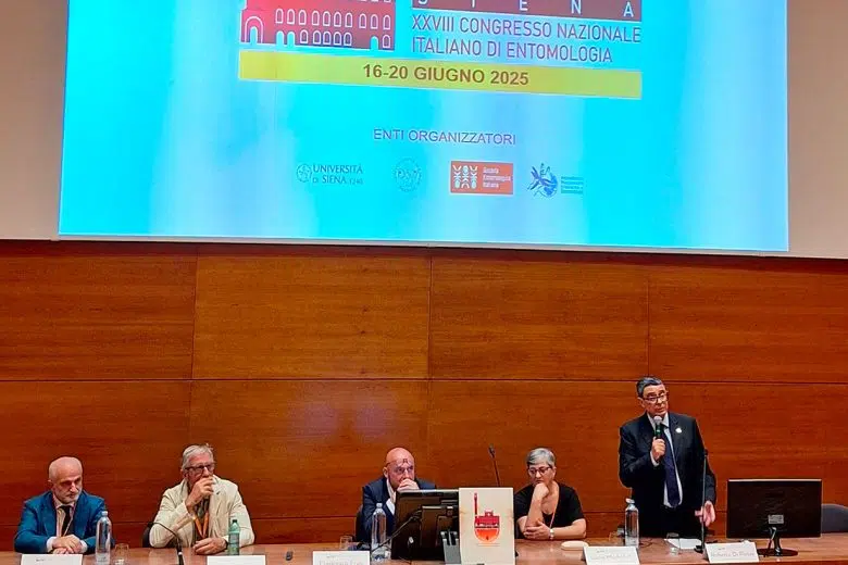 A Siena il XXVIII Congresso Nazionale di Entomologia Congresso entomologia di Siena