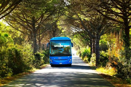 Dal 14 giugno partono i Mare Bus Tiemme da Siena, Colle e Poggibonsi Mare Bus Tiemme