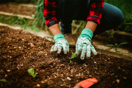 Orti urbani per l’inclusione sociale: al via il progetto rivolto ai giovani di Montepulciano Orto urbano