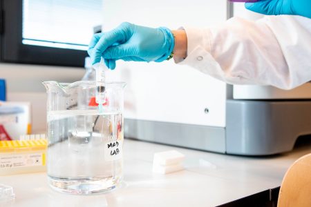 Klebsiella pneumoniae, Tls: selezionato anticorpo monoclonale TLS, ricerca
