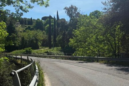 Sp 45 del Brunello, messa in sicurezza del “ponte degli abeti” "Ponte degli abeti" a Montalcino