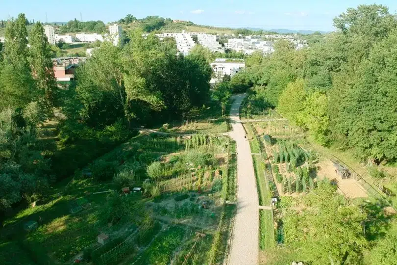 Orti urbani San Miniato a Siena