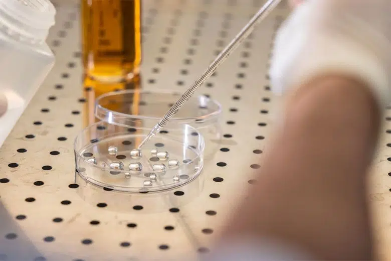 Laboratorio AdF