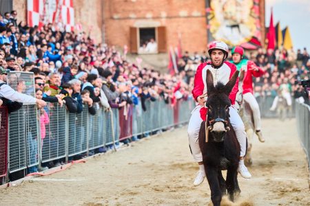 La Contrada Le Fonti vince il 69° Palio dei Somari di Torrita Palio dei Somari 2026, arrivo