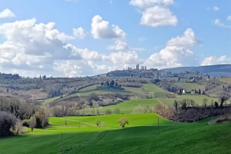 San Gimignano, panorama
