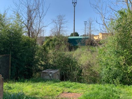Intervento urgente sul torrente Arbia a Pianella