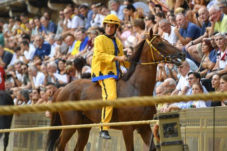 Palio di Siena del 2 luglio 2026: il borsino delle accoppiate della seconda giornata