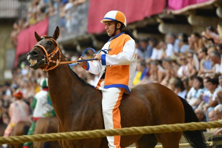 Palio di Siena del 2 luglio 2026: la prova generale al Leocorno