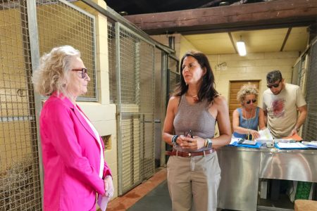 Palio, il Sindaco Fabio: “Equilibrio e armonia in vista del momento più alto per Siena” Nicoletta Fabio, previsite Ceppo