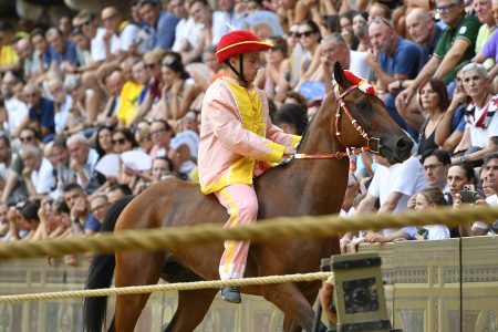 Palio di Siena del 2 luglio 2026: la quarta prova al Valdimontone