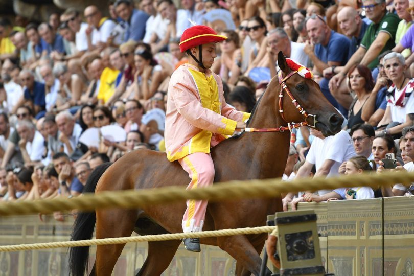 Valdimontone, Salvatore Nieddu