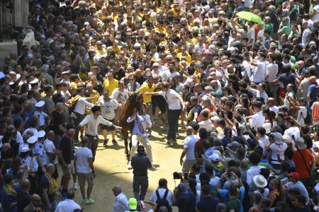 Palio di Siena del 2 luglio 2026: il borsino delle accoppiate della prima giornata