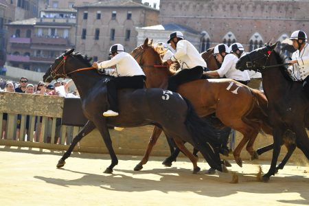 Palio 16 agosto, l’elenco dei cavalli presentati alla Tratta