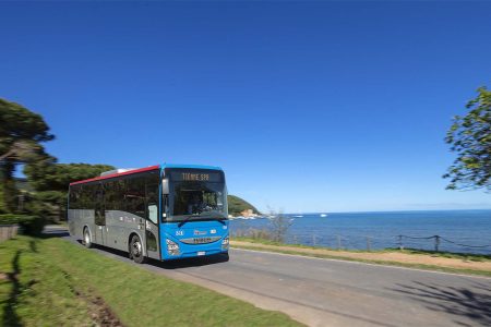 Dal 13 giugno partono le Linee Mare di Tiemme da Siena, Colle di Val d’Elsa e Poggibonsi Bus linee mare di Tiemme