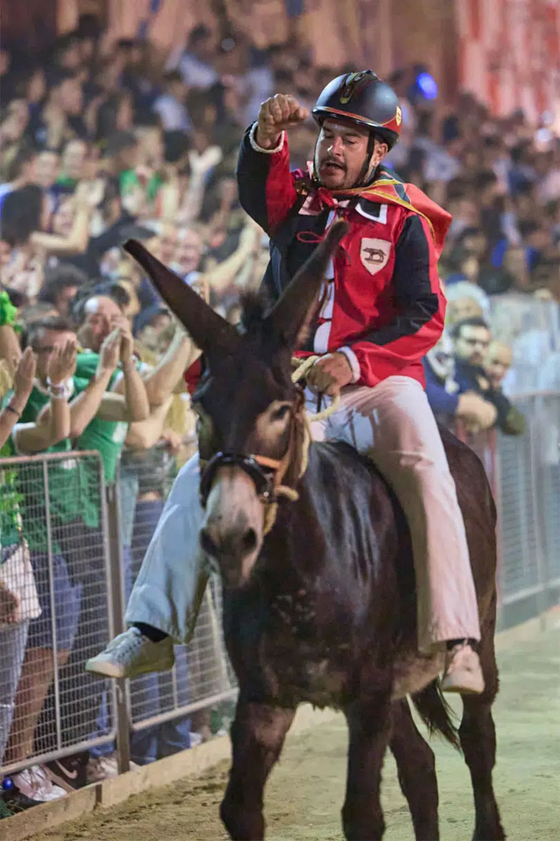 Palio dei Somari, Torrita di Siena