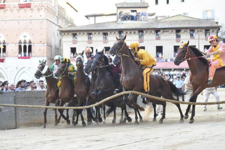 Palio di Siena di Provenzano 2026: i voti ai fantini Palio luglio 2026
