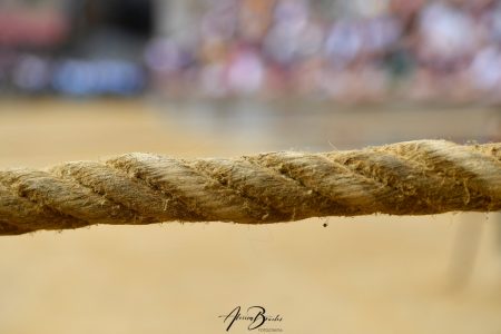 Palio di Siena del 16 agosto 2026: il “valzer delle monte”