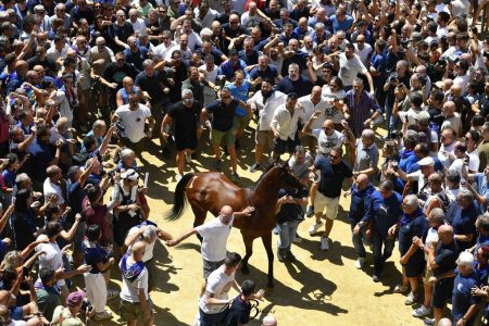 Palio di Siena del 16 agosto 2026: il borsino delle accoppiate della prima giornata